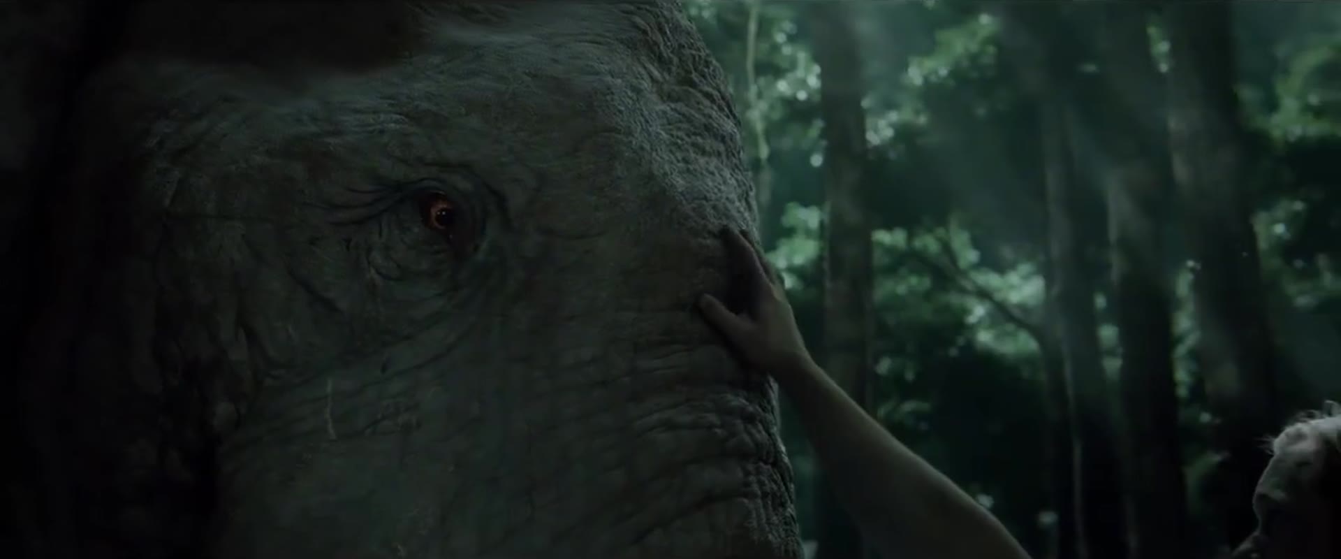 Tarzan